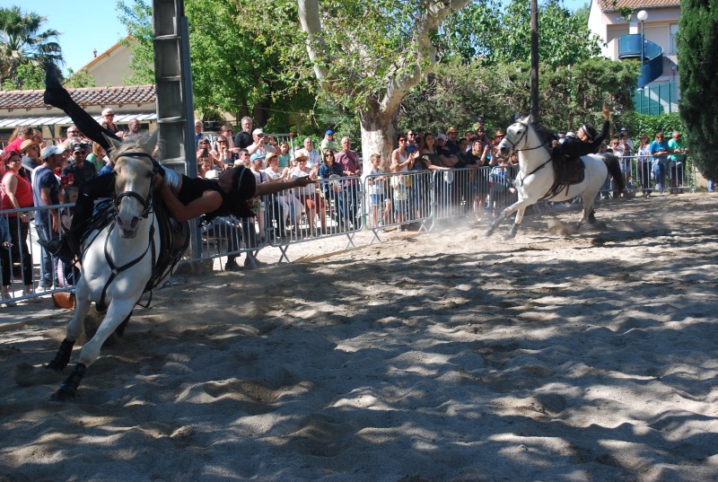 Foire_chevaux_spectacle_2019_75.jpg