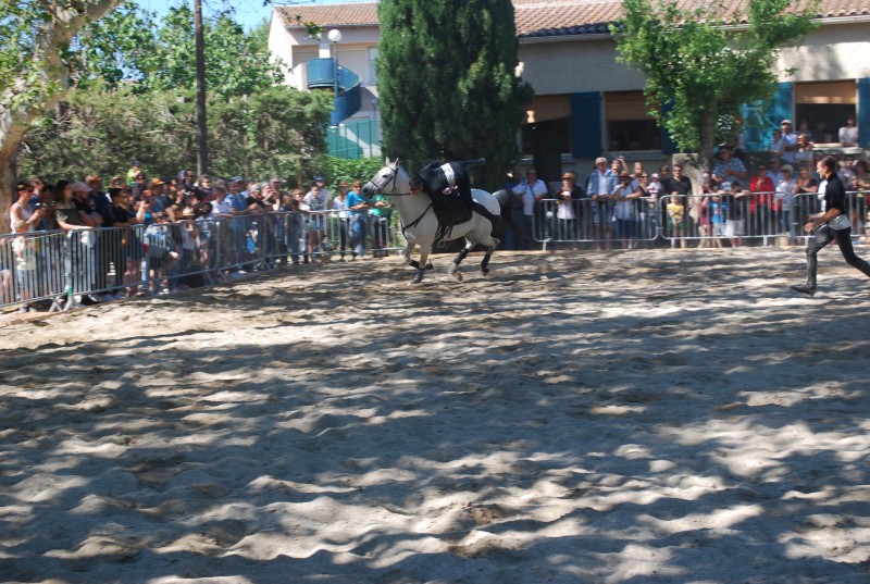 Foire_chevaux_spectacle_2019_77.jpg