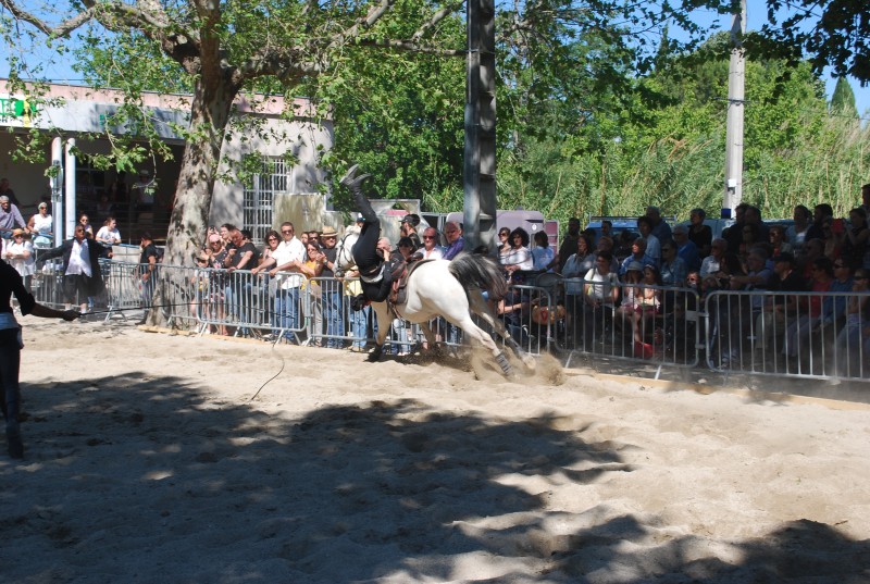 Foire_chevaux_spectacle_2019_79.jpg