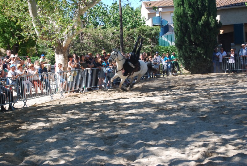 Foire_chevaux_spectacle_2019_80.jpg