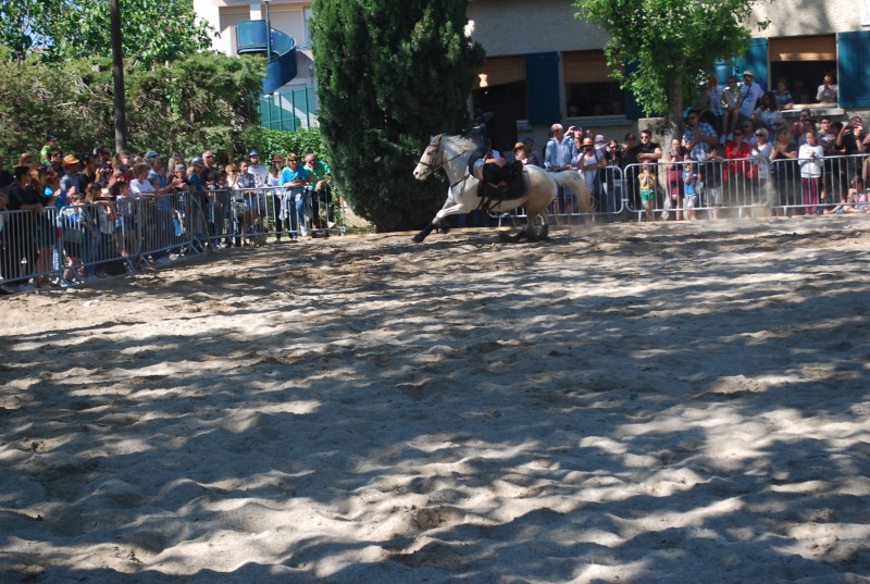 Foire_chevaux_spectacle_2019_81.jpg