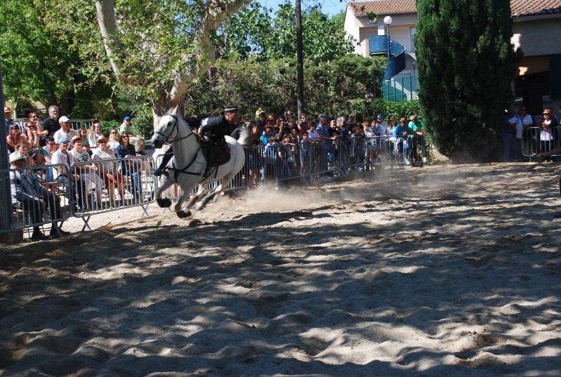 Foire_chevaux_spectacle_2019_82.jpg