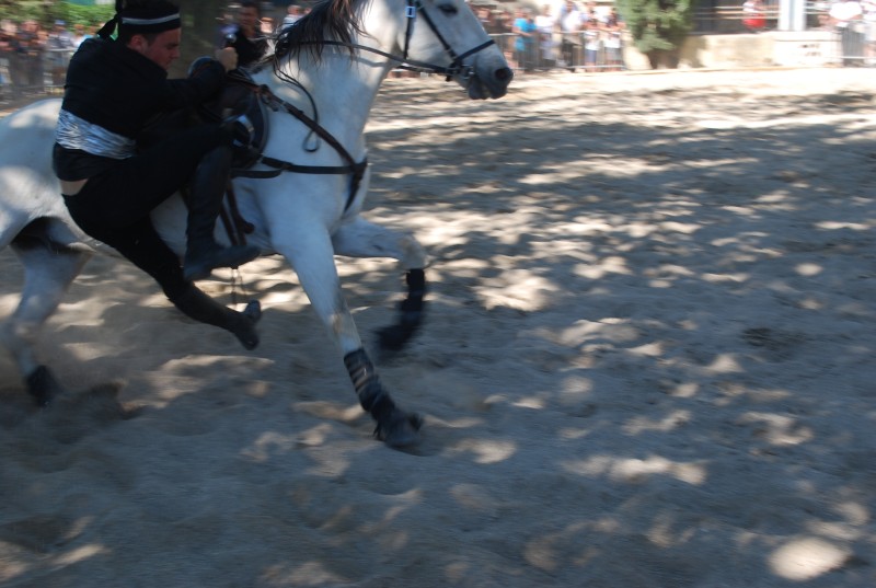 Foire_chevaux_spectacle_2019_83.jpg