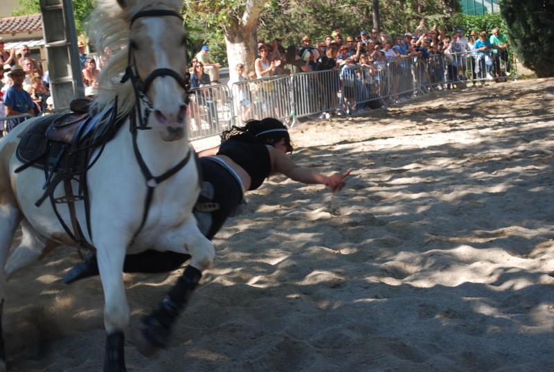 Foire_chevaux_spectacle_2019_84.jpg