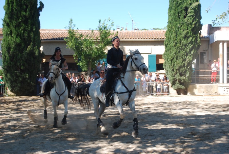 Foire_chevaux_spectacle_2019_85.jpg