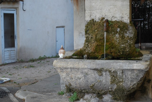 St Gens   2017_41.jpg
