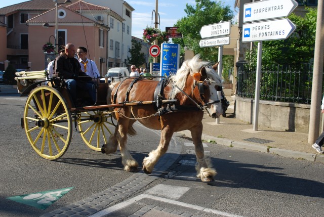 st_gens_samedi_16-05-2015__18.jpg