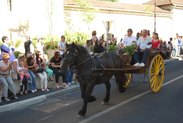 st_gens_dimanche_17-05-2015__04.jpg