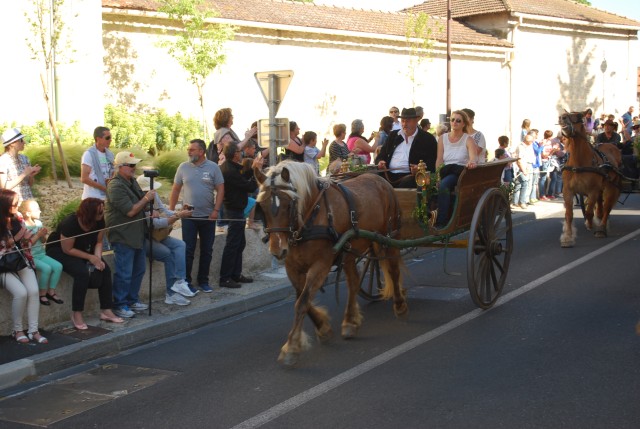st_gens_dimanche_17-05-2015__05.jpg