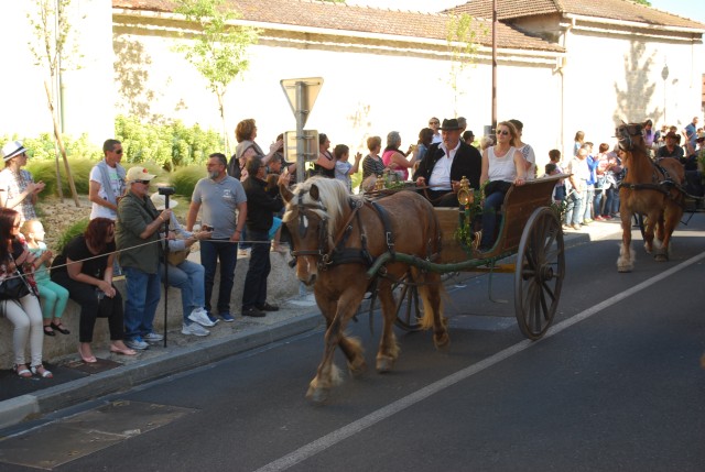 st_gens_dimanche_17-05-2015__05.jpg