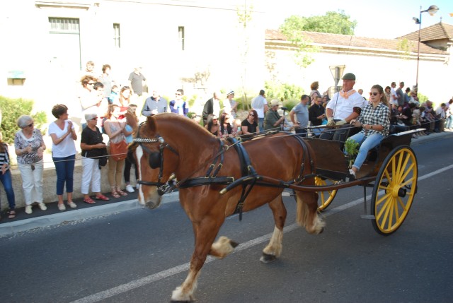 st_gens_dimanche_17-05-2015__07.jpg