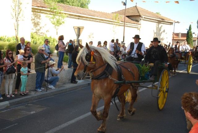 st_gens_dimanche_17-05-2015__11.jpg