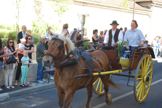 st_gens_dimanche_17-05-2015__12.jpg