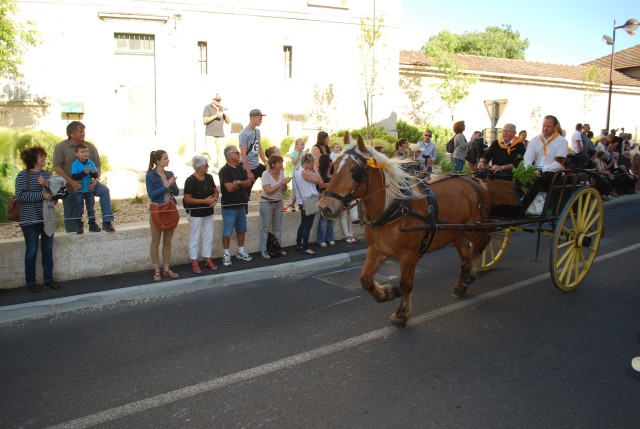 st_gens_dimanche_17-05-2015__21.jpg