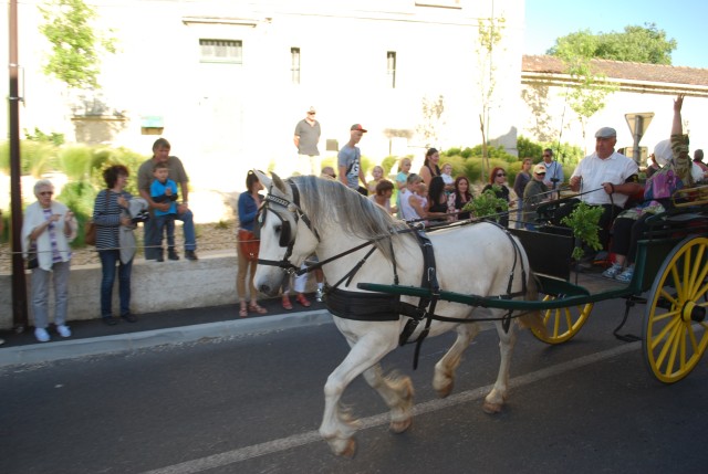 st_gens_dimanche_17-05-2015__23.jpg