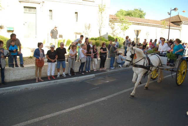 st_gens_dimanche_17-05-2015__24.jpg