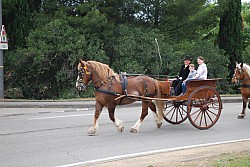 St-Gens_2023-1_2023_37.jpg