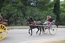 St-Gens_2023-1_2023_39.jpg