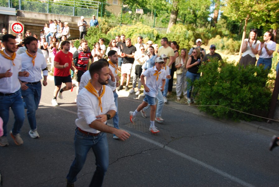 St Gens  2026 D_12.jpg