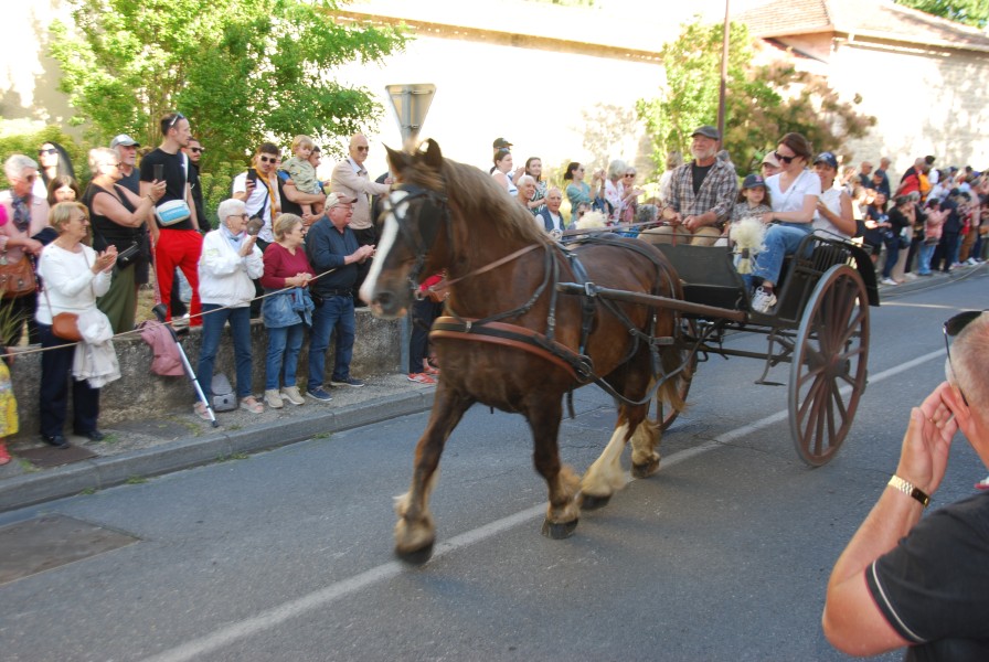 St Gens  2026 D_33.jpg