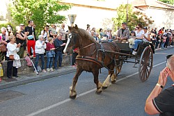 St Gens  2026 D_33.jpg