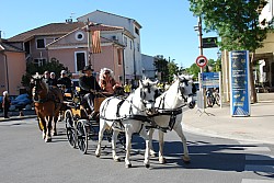 St Gens  2026 S_16.jpg