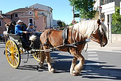 St Gens  2026 S_18.jpg