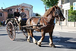 St Gens  2026 S_19.jpg