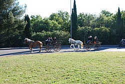 St Gens  2026 S_28.jpg