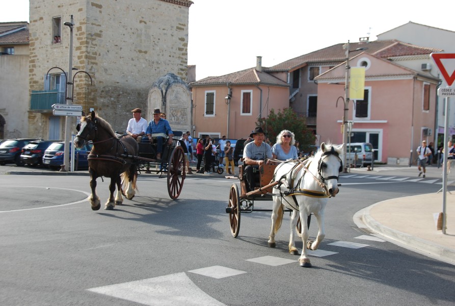 st_gens_sa_2024_05.jpg