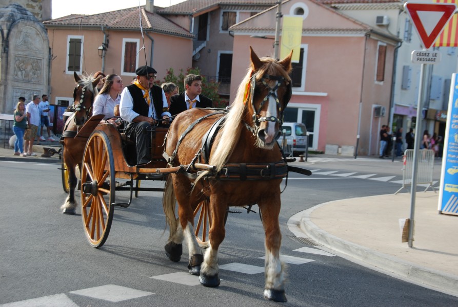 st_gens_sa_2024_16.jpg