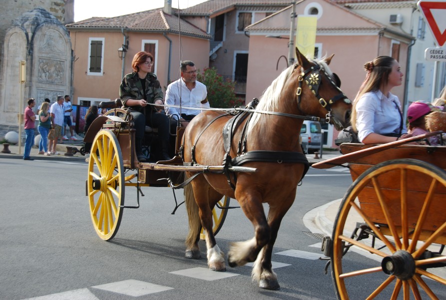 st_gens_sa_2024_17.jpg