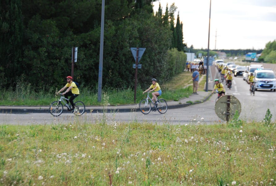 st_gens_sa_2024_30.jpg