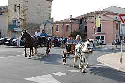 st_gens_sa_2024_05.jpg