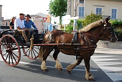 st_gens_sa_2024_06.jpg