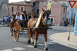 st_gens_sa_2024_16.jpg