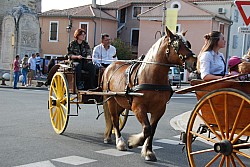 st_gens_sa_2024_17.jpg
