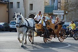 st_gens_sa_2024_19.jpg