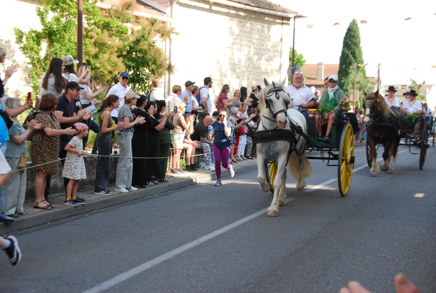 St_gens_2025_D_08.jpg
