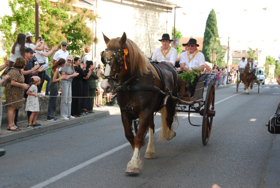 St_gens_2025_D_09.jpg