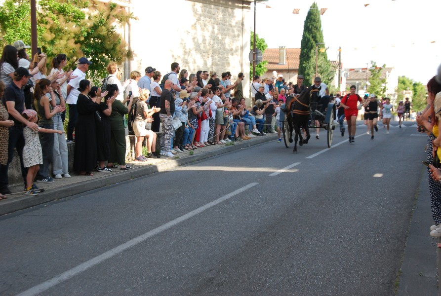St_gens_2025_D_19.jpg