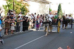 St_gens_2025_D_08.jpg