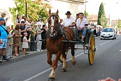 St_gens_2025_D_10.jpg