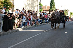 St_gens_2025_D_17.jpg