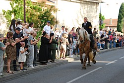St_gens_2025_D_24.jpg
