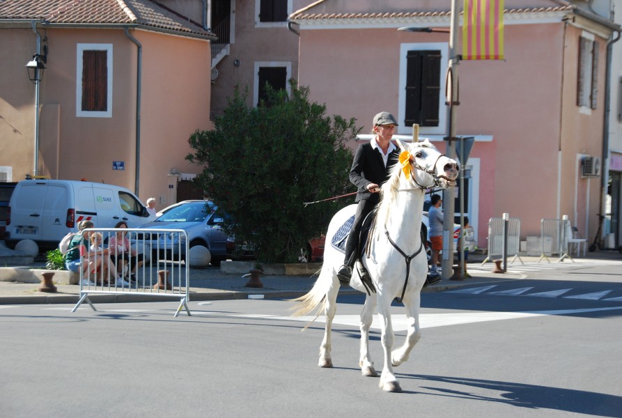 St_gens_2025_S_07.jpg