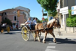 St_gens_2025_S_22.jpg