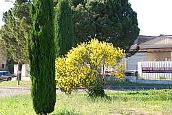 St_gens_2025_S_25.jpg