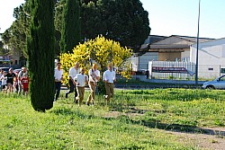 St_gens_2025_S_28.jpg