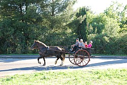 St_gens_2025_S_31.jpg